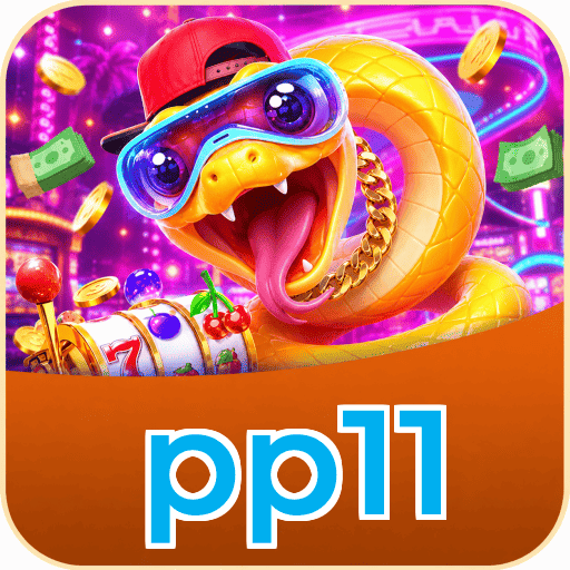 pp11 FAQ