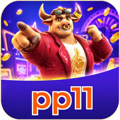 pp11 Installation Guide